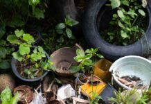 Mobilização nas escolas intensifica ações de combate à dengue