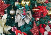 Natal começa a tomar conta das ruas de Videira