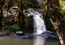 Propriedades do interior de Caçador podem fazer parte da Rota das Cachoeiras