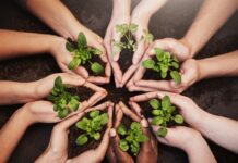 Fraiburgo recebe 11º Seminário Catarinense de Agroecologia