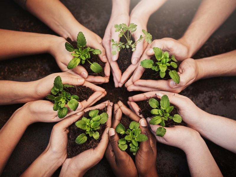 Fraiburgo recebe 11º Seminário Catarinense de Agroecologia