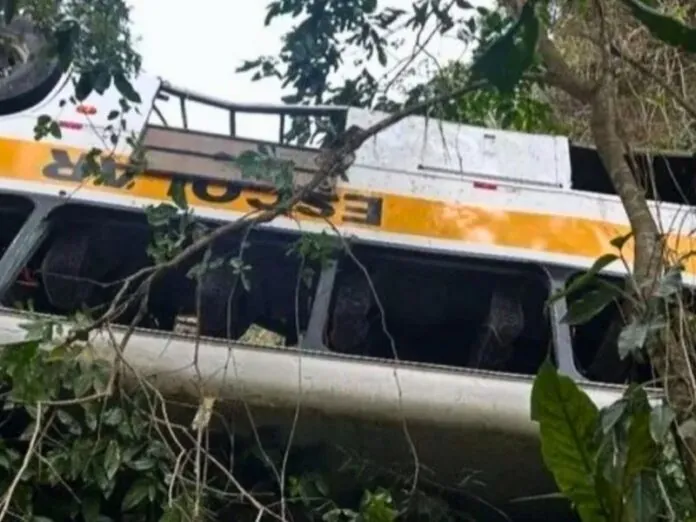 Ônibus escolar cai de ribanceira e deixa 17 mortos em Alagoas