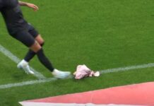 Polícia investiga cabeça de porco arremessada em Corinthians x Palmeiras