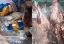 Cerca de 1.250 kg de carnes impróprias para consumo foram apreendidos em SC