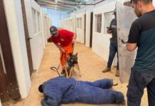 Bombeiros Voluntários participam de curso de Cinotecnia Policial