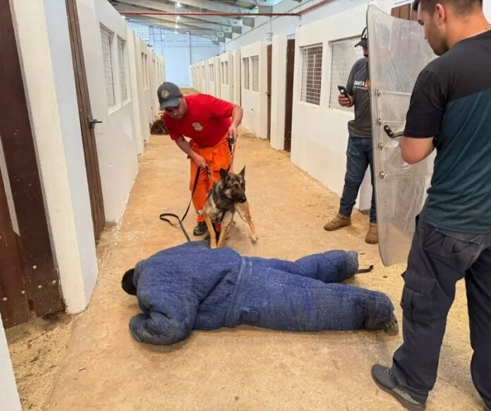 Bombeiros Voluntários participam de curso de Cinotecnia Policial