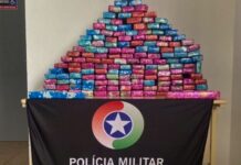 PMSC prende suspeito com 110 kg de maconha após perseguição