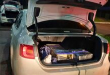 Polícia apreende 50 kg de maconha em operação na BR-282