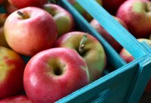 Brasil e Peru firmam acordo para exportação de maçãs e citros