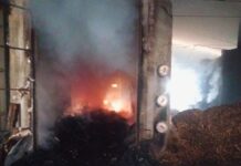 Fogo atinge estufa de madeira de empresa em Santa Cecília