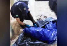 Ossada humana encontrada na casa de agente funerário