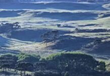 Santa Catarina registra geada e temperaturas próximas de 0º