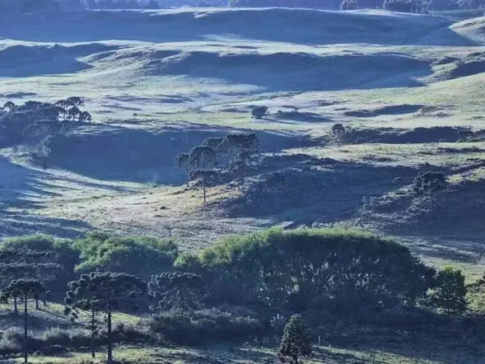 Santa Catarina registra geada e temperaturas próximas de 0º