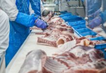 Santa Catarina lidera contratações de imigrantes no Brasil