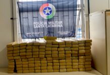 Mais de 120 kg de maconha são apreendidos em Porto União