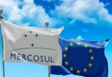 Acordo Mercosul-UE: entenda os desafios e impactos para SC
