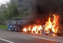 Homem causa incêndio em ônibus de turismo com 44 passageiros