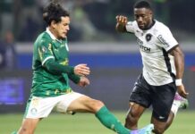 Palmeiras e Botafogo disputam liderança em clássico decisivo