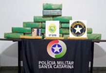 Polícias de SC e PR desmantelam tráfico e apreendem 150 kg de maconha