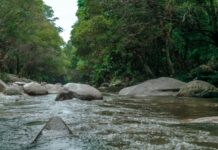 Jovem morre afogado em rio durante brincadeira com irmãos