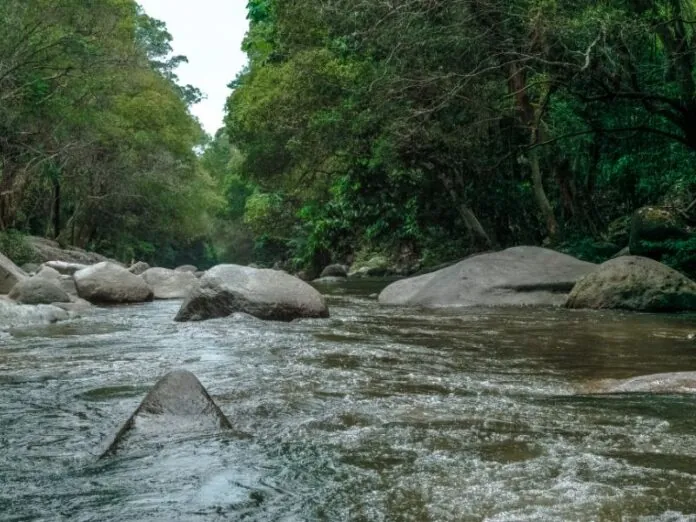 Jovem morre afogado em rio durante brincadeira com irmãos