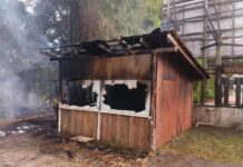 Ex-mulher de autor das explosões no STF tem melhora, mas segue na UTI