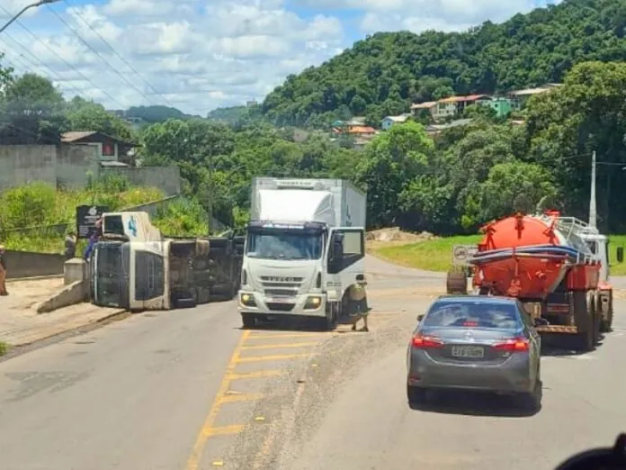 Caminhão carregado com vinho tomba ao acessar rotatória