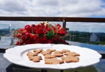Prepare um delicioso biscoito de gengibre neste Natal