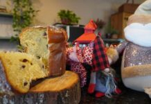 Prepare um delicioso Panetone de fermentação natural para este Natal