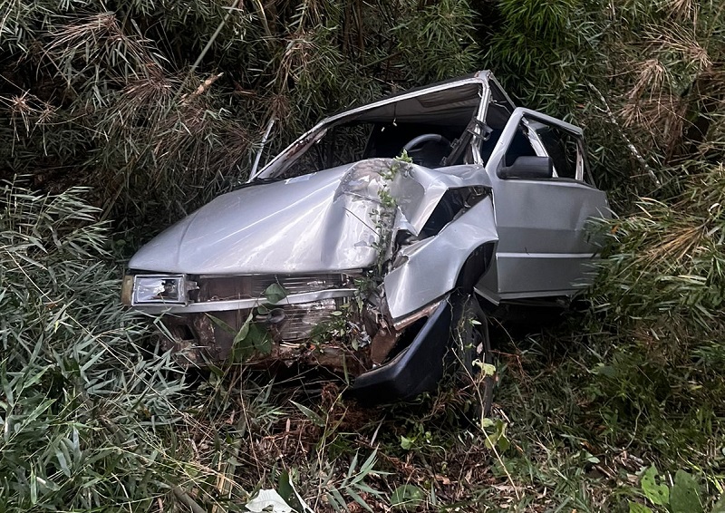 Carro colide em árvore e fere ocupantes