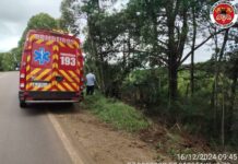 Cochilo ao volante provoca saída de pista na SC-452