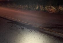 Homem morre atropelado no bairro Martello em Caçador