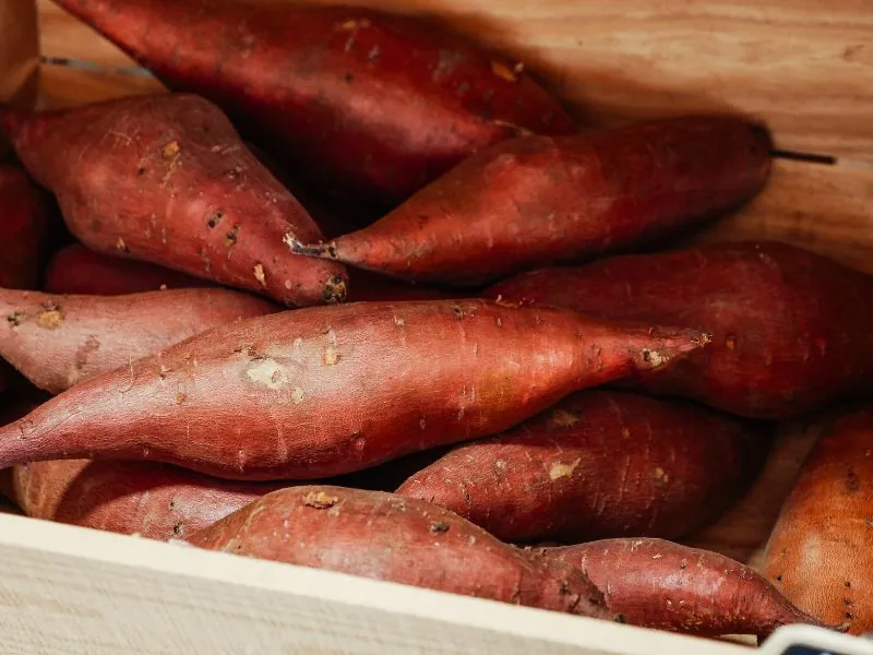 Quais frutas, legumes e verduras plantar em dezembro?