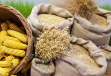 Confira as variações do agro em novembro em SC