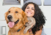 Lei sancionada por Lula cria cadastro nacional para animais domésticos