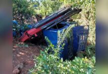 Caminhão com pai e filha fica sem freios e tomba em riacho