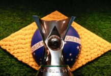 Campeonato Brasileiro 2024: Confira os rebaixados e os times que subiram