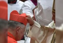 Catarinense é nomeado cardeal em cerimônia histórica no Vaticano