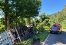 Carreta tomba e é salva por árvore na BR-282