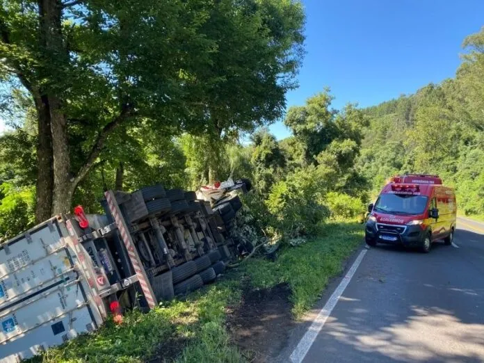 Carreta tomba e é salva por árvore na BR-282