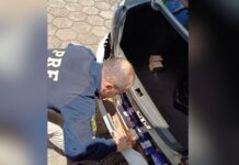 PRF apreende mais de 25 kg de maconha durante operação na BR-282