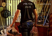 Polícia Civil de Videira incinera 20kg de drogas apreendidas