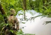 Densa camada de espuma branca atinge corrégo no interior