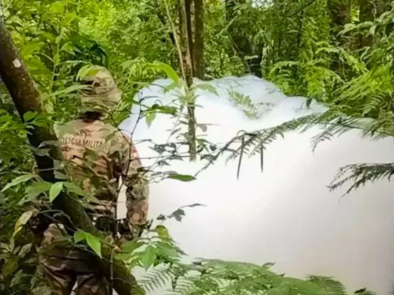 Densa camada de espuma branca atinge corrégo no interior