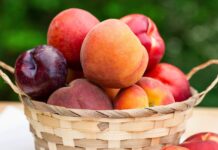 Desafios e inovações na produção de frutas de caroço