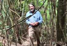 Idoso desaparecido em Fraiburgo é encontrado pelos Bombeiros