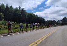 Peregrinos fazem 118 quilômetros a pé para celebrar o Jubileu de Ouro