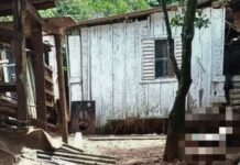 Idosa e homem são encontrados mortos em chacará em SC