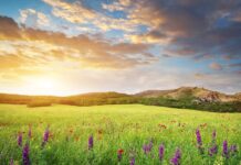 Última semana da primavera tem tempo instável em Santa Catarina