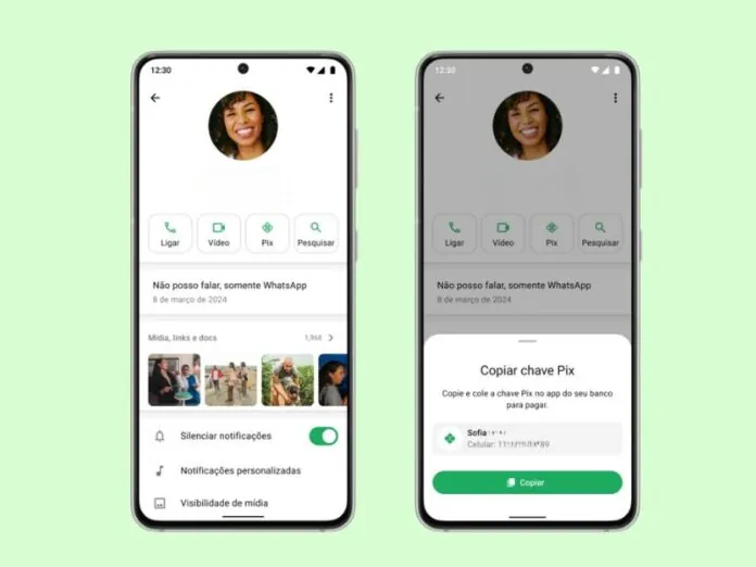 WhatsApp lança função para adicionar chave Pix no perfil